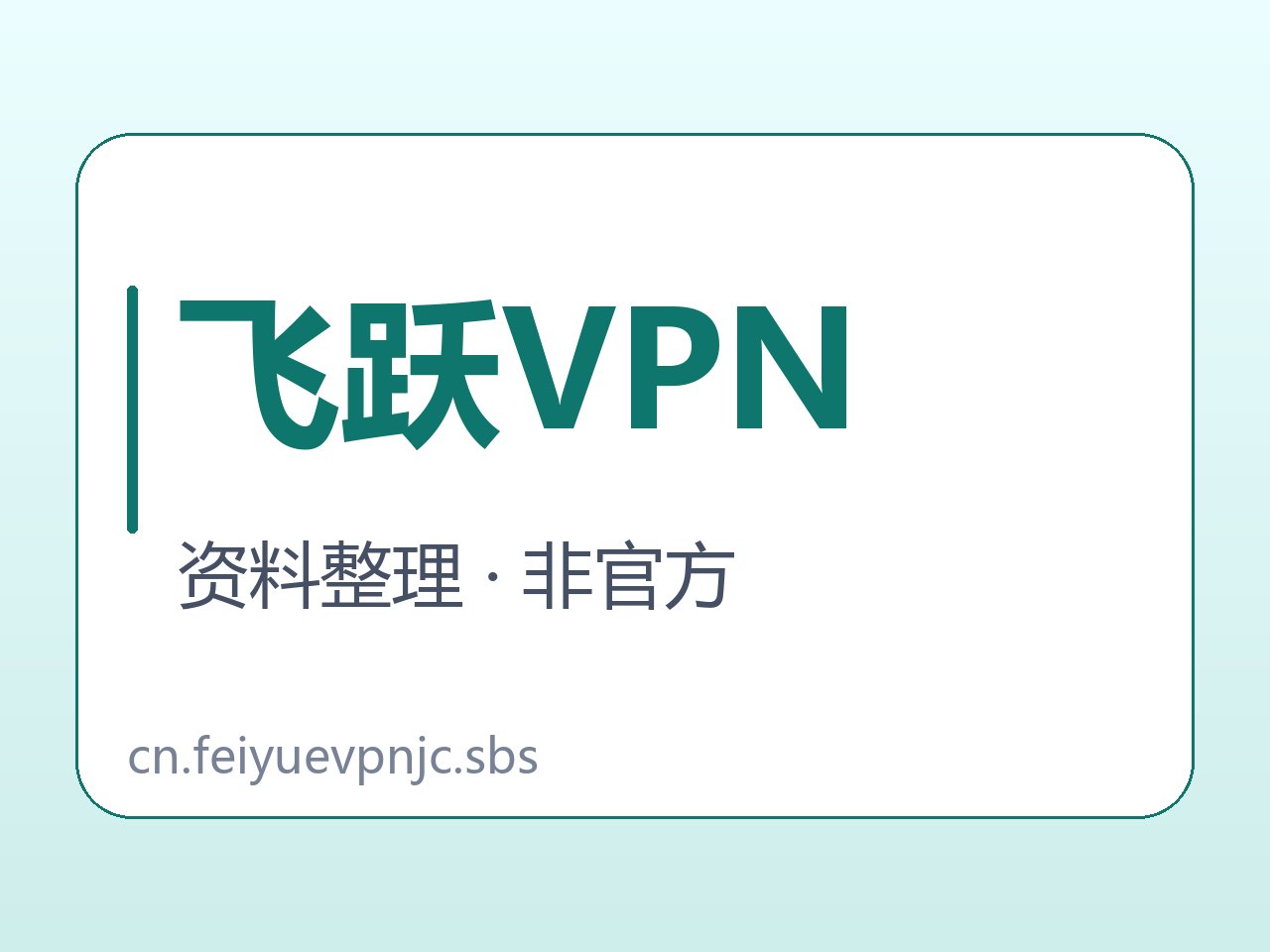 飞跃VPN产品指代待核说明图